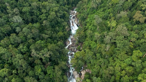 Comment les traditions musicales celtiques sont-elles préservées aujourd'hui ?