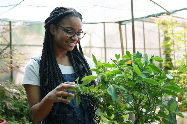 Lejmed : découvrez les tendances clés de l'économie française